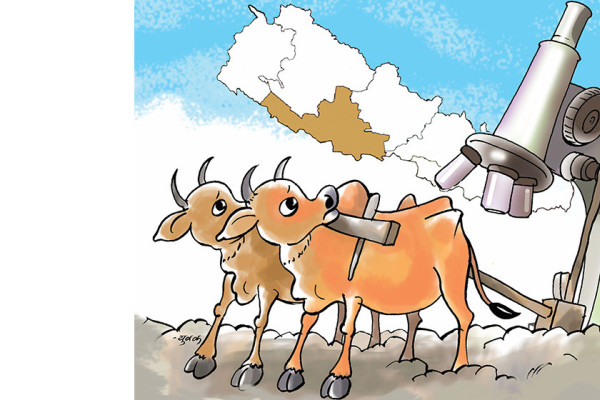 सम्मान र उत्थानको प्रतीक्षामा कृषि